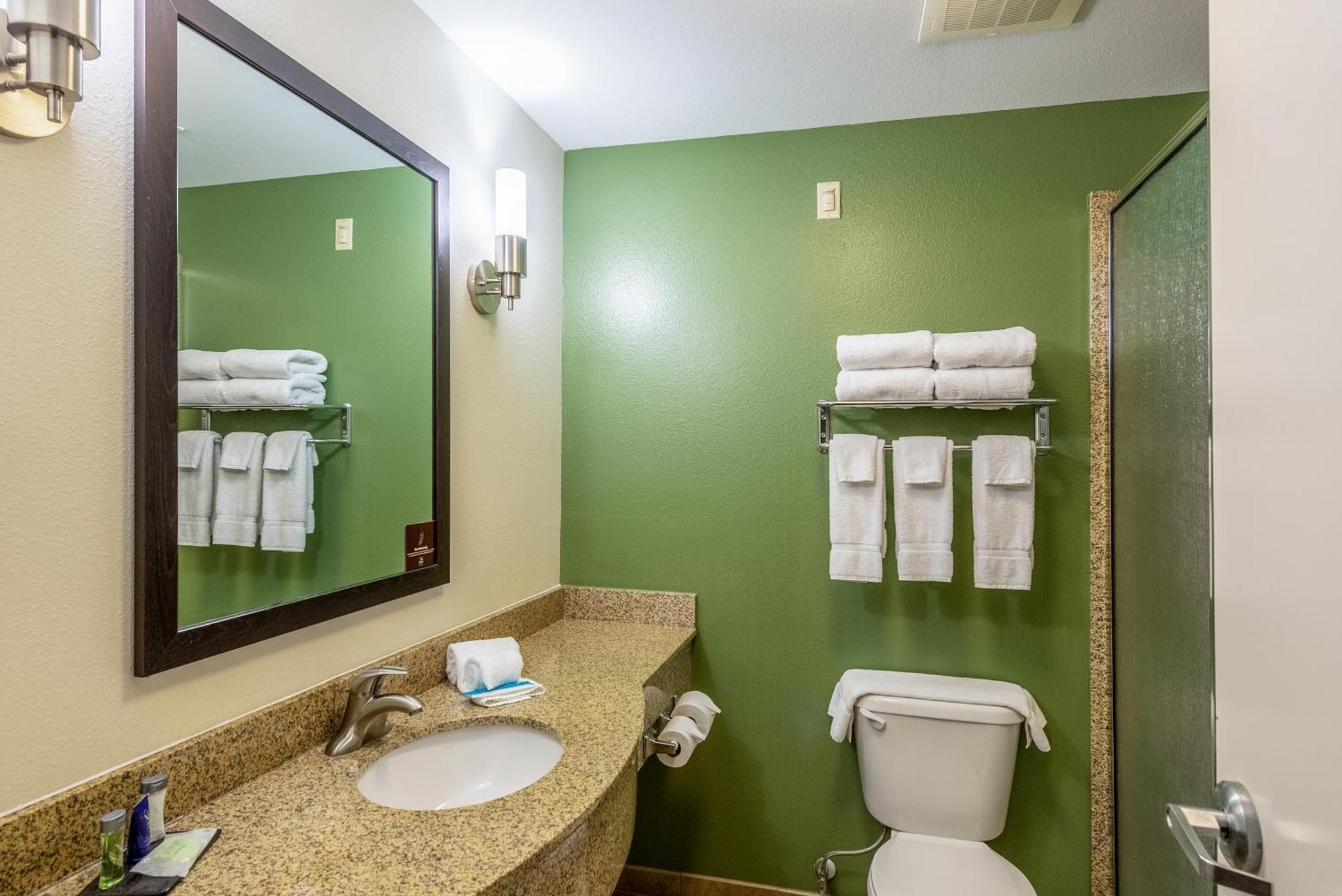 King Suite Shower,1286798302:JPEG